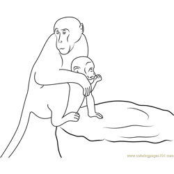 Monkey on Way Free Coloring Page for Kids