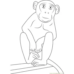 Nice Monkey Free Coloring Page for Kids