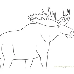 Moose Eating Free Coloring Page for Kids