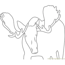 Moose Face Look Free Coloring Page for Kids