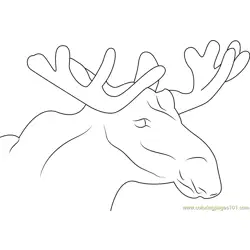 Moose Face Free Coloring Page for Kids