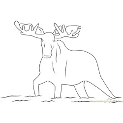 Moose in the River Free Coloring Page for Kids