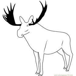 Poudre Canyon Moose Free Coloring Page for Kids