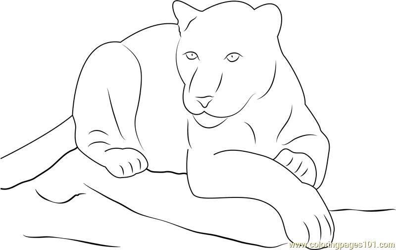 Panther Sitting on Rock Coloring Page for Kids - Free Panther Printable