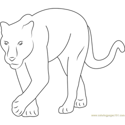 Baby Panther Free Coloring Page for Kids