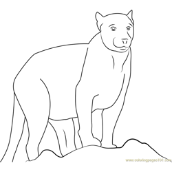 Beautiful Panther Free Coloring Page for Kids