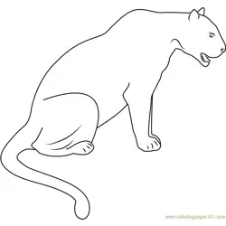 Panther Black Seet Free Coloring Page for Kids