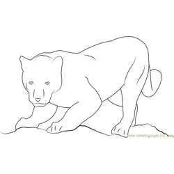 Panther Get Ready for Attack Free Coloring Page for Kids