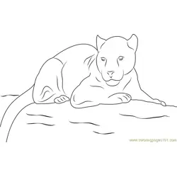 Panther Look Free Coloring Page for Kids