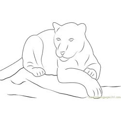 Panther Sitting on Rock Free Coloring Page for Kids