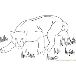 Panther Free Coloring Page for Kids