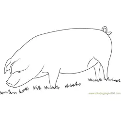 Home Pig Free Coloring Page for Kids