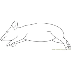 Sleeping Pig Thakudwara Free Coloring Page for Kids