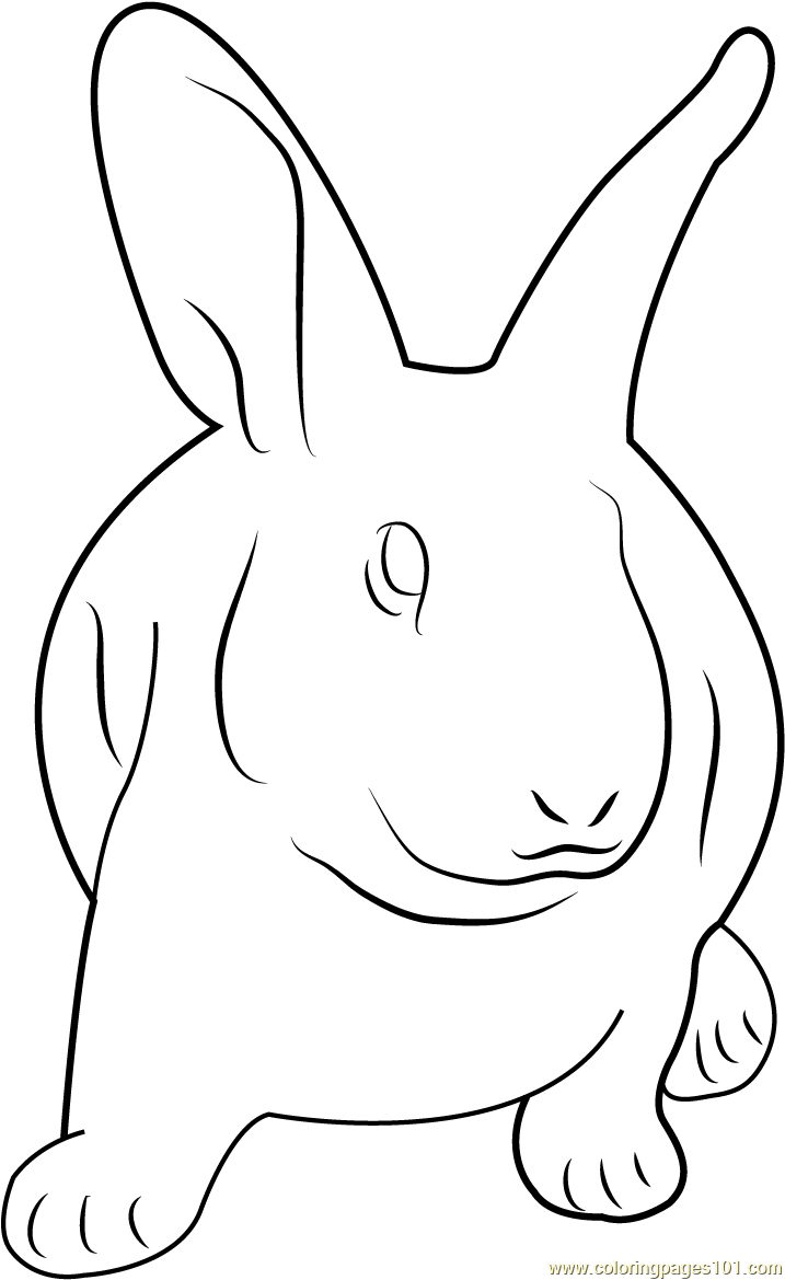 Sad Rabbit