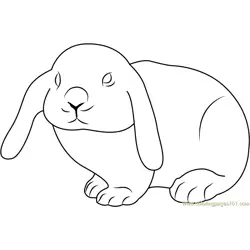Cute Rabbit Free Coloring Page for Kids