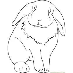 Lop Eared Pet Rabbit Free Coloring Page for Kids