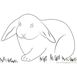 Lovely Rabbit Free Coloring Page for Kids