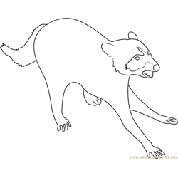Attacking Raccoon Free Coloring Page for Kids