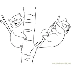 Raccoon Babies on Tree Free Coloring Page for Kids