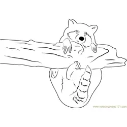 Raccoon Hug a Tree Free Coloring Page for Kids