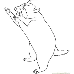 Raccoon Stand on Two Legs Free Coloring Page for Kids