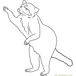 Raccoon Up Look Free Coloring Page for Kids