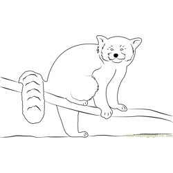 Cute Red Panda Free Coloring Page for Kids