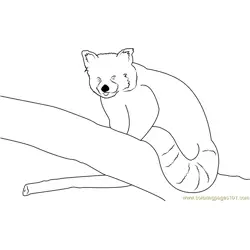 Red Panda By Neomys Free Coloring Page for Kids