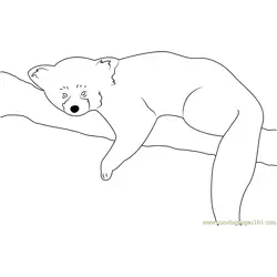 Red Panda Sleeping Free Coloring Page for Kids