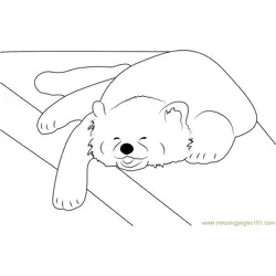 Red Panda is a Happy Napper Free Coloring Page for Kids