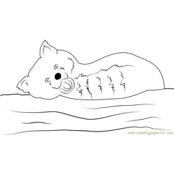 Smiling Red Panda Free Coloring Page for Kids