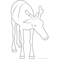 Reindeer Baby Free Coloring Page for Kids