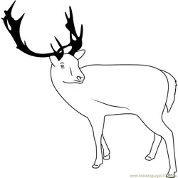 Reindeer Looking Back Free Coloring Page for Kids