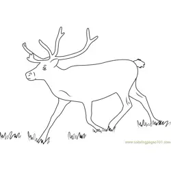 Reindeer Running Free Coloring Page for Kids