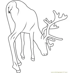 Reindeer See on Ground Free Coloring Page for Kids