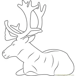 Reindeer Sitting Free Coloring Page for Kids