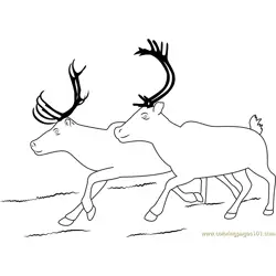 Two Reindeer Free Coloring Page for Kids