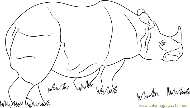 One Horned Rhino Coloring Page for Kids - Free Rhinoceros Printable