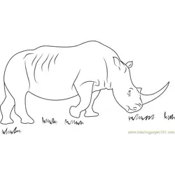 African Black Rhino Free Coloring Page for Kids