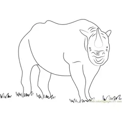 Black Rhino Shutter Free Coloring Page for Kids