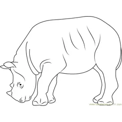 Black Rhino Free Coloring Page for Kids