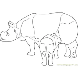 Panzernashorn Baby Drink Milk Free Coloring Page for Kids