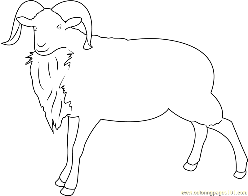 Montana Sheep Coloring Page for Kids - Free Sheep Printable Coloring