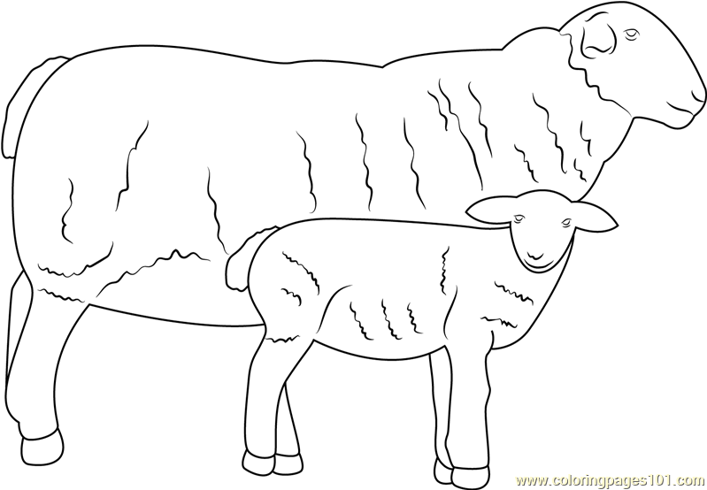 Sheep with her Baby Coloring Page for Kids - Free Sheep Printable