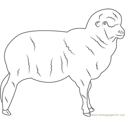 Askanian Sheep Free Coloring Page for Kids