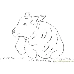 Lamb Sheep Free Coloring Page for Kids