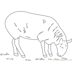Sheep Eating Grass Free Coloring Page for Kids