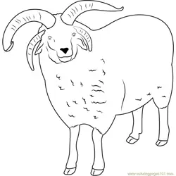 Sheep See Free Coloring Page for Kids