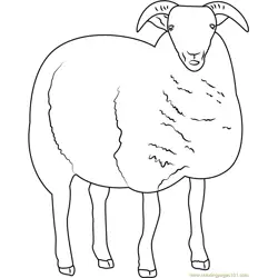 Sheep Free Coloring Page for Kids