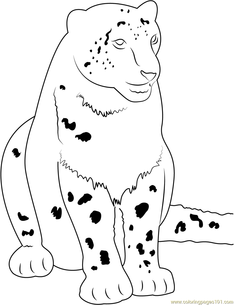 Cute Snow Leopard Coloring Page for Kids - Free Snow Leopard Printable